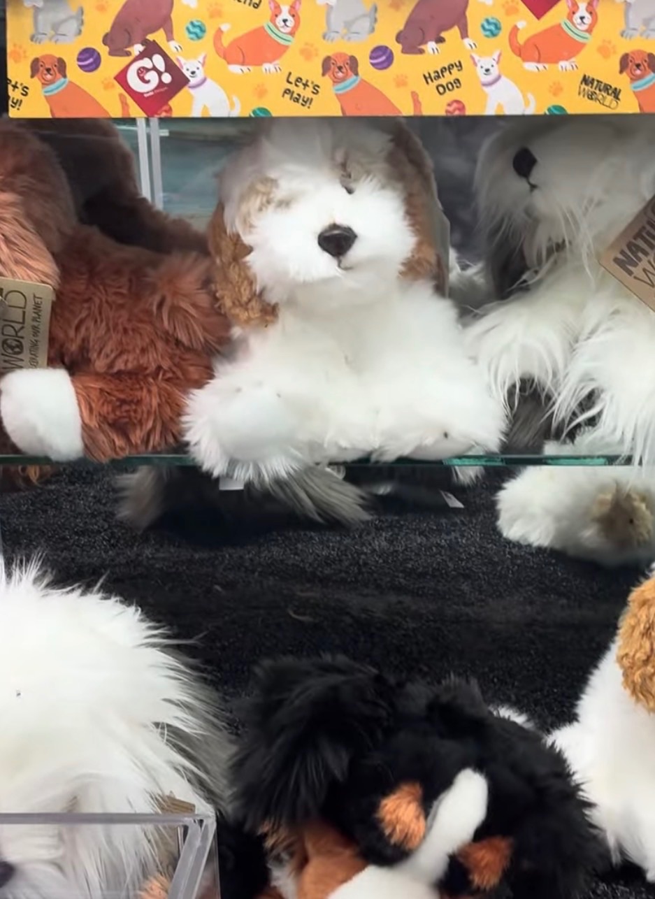 Claw machines at The Flamingo in Great Yarmouth, England